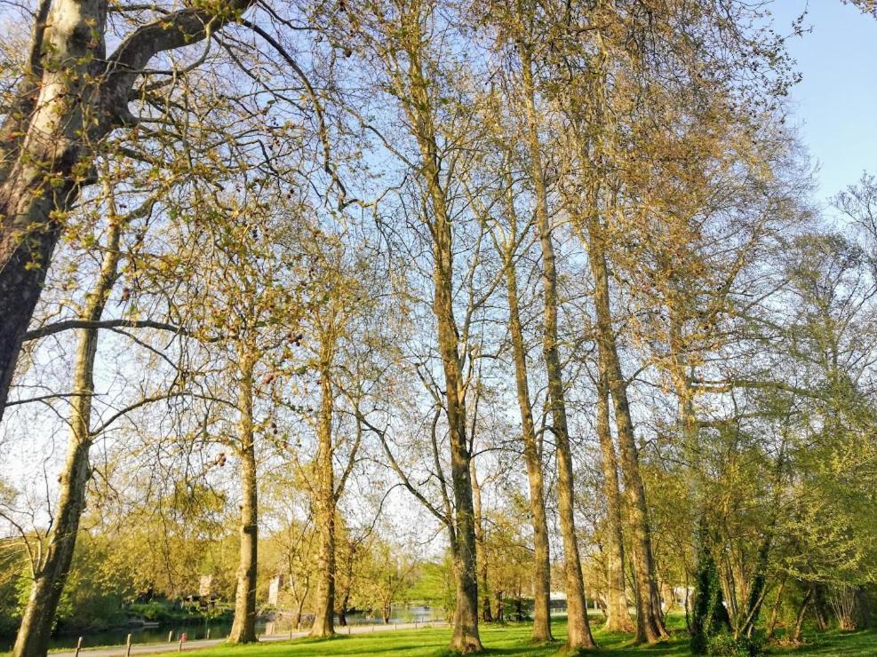 مبيت وإفطار Bourg-Charente Le Domaine Des Platanes المظهر الخارجي الصورة