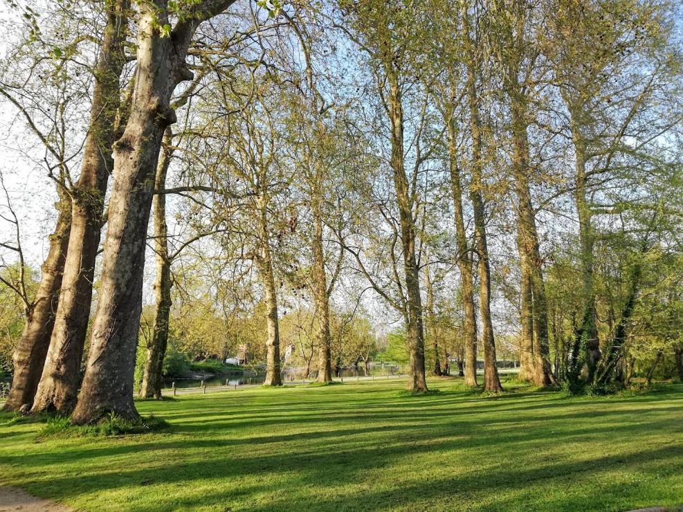 مبيت وإفطار Bourg-Charente Le Domaine Des Platanes المظهر الخارجي الصورة
