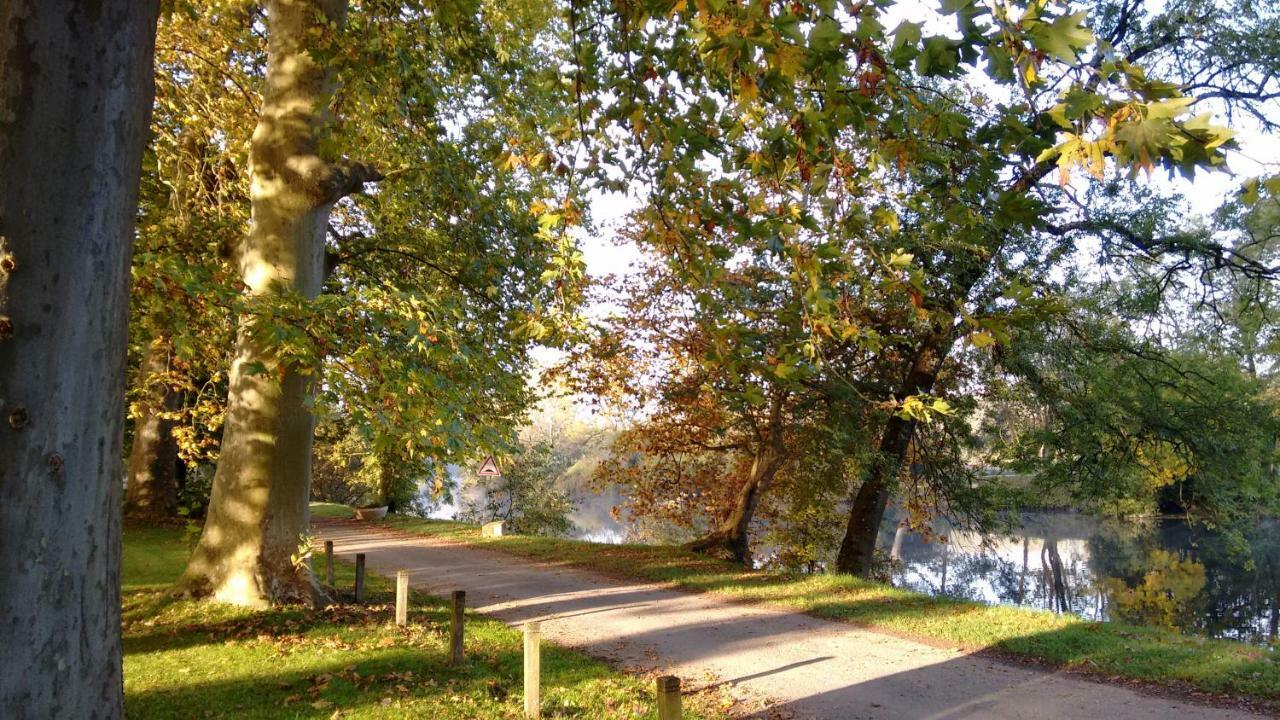 مبيت وإفطار Bourg-Charente Le Domaine Des Platanes المظهر الخارجي الصورة