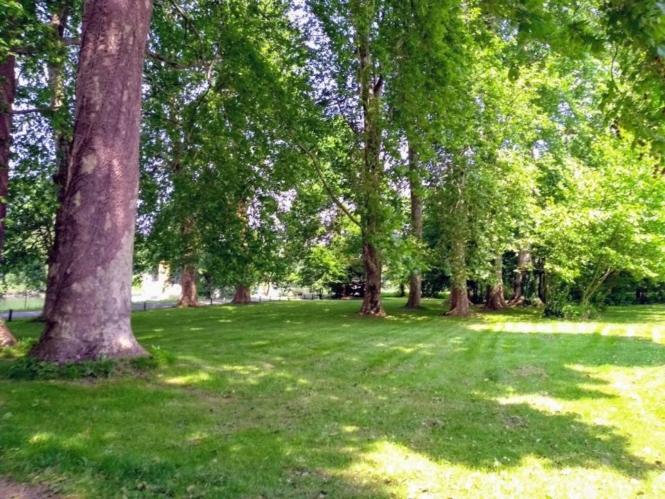 مبيت وإفطار Bourg-Charente Le Domaine Des Platanes المظهر الخارجي الصورة