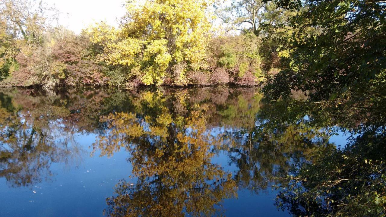 مبيت وإفطار Bourg-Charente Le Domaine Des Platanes المظهر الخارجي الصورة